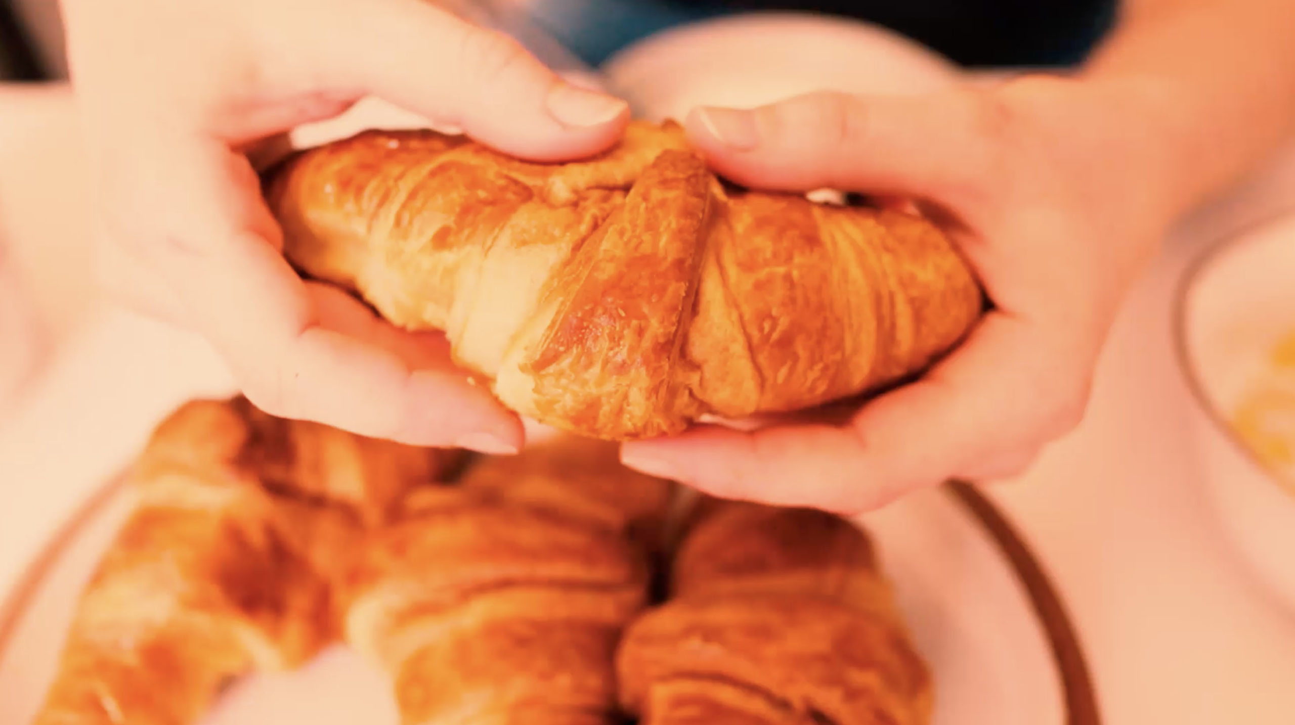 Sweet Temptations Wholesale French Bakery Los Angeles — Sweet Temptations